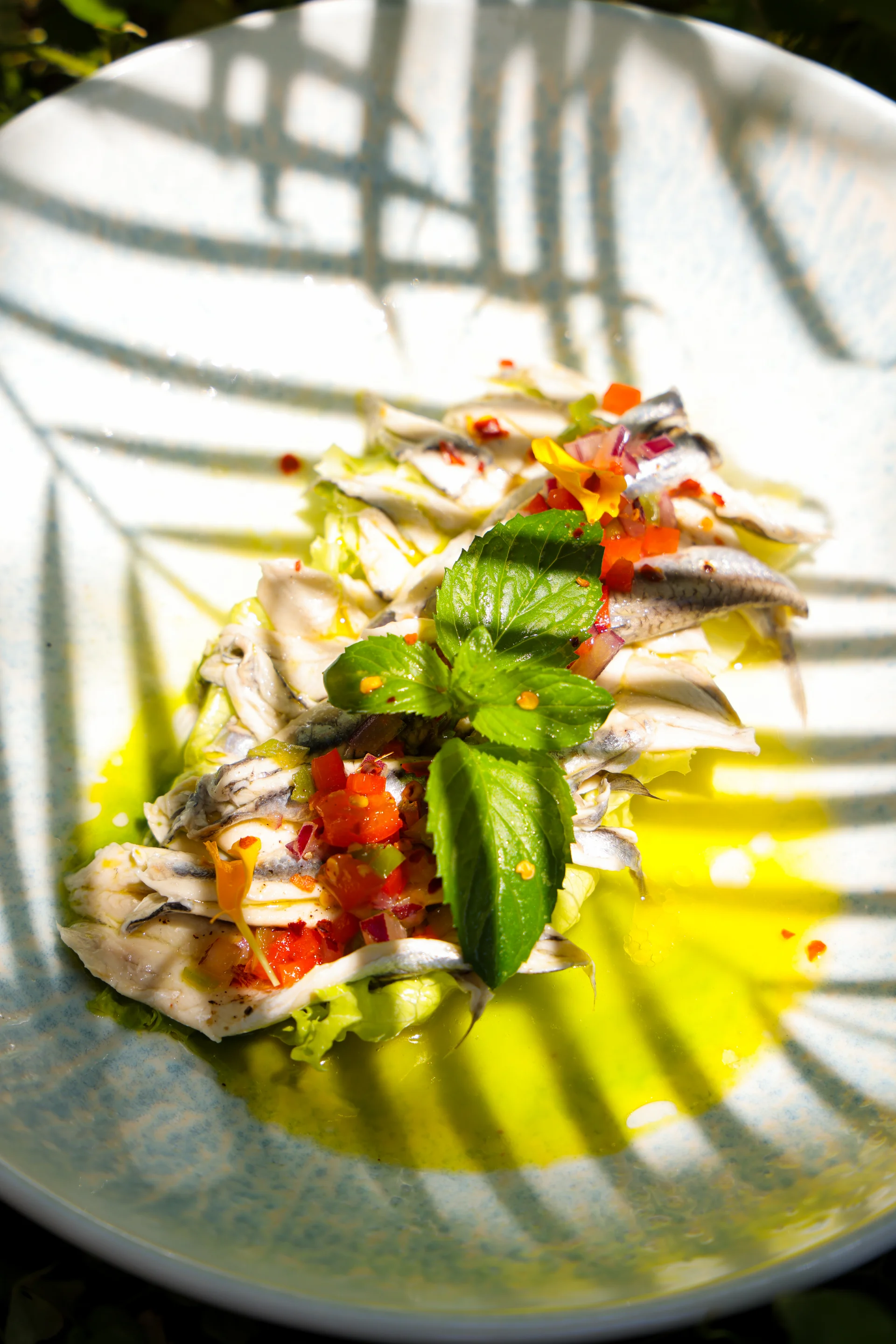 Sol Bar — platter